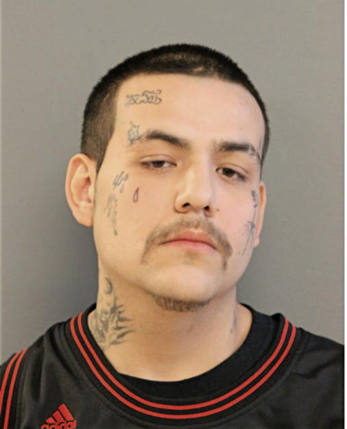 JERRY J MINARD, Cook County, Illinois