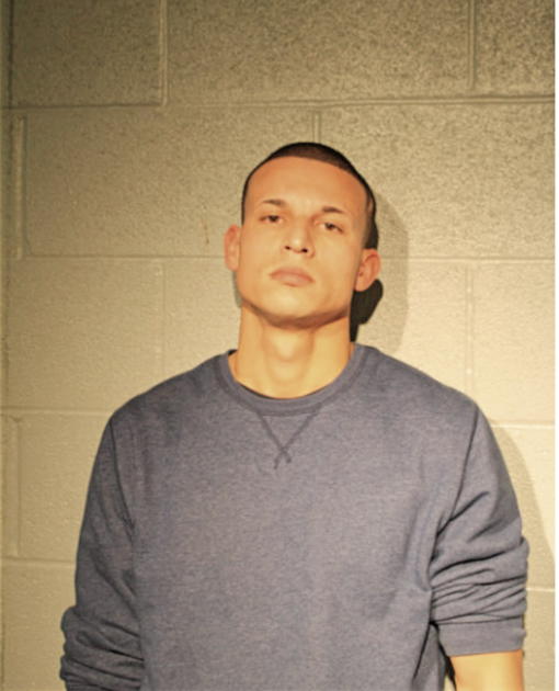 LUIS D MORALES, Cook County, Illinois
