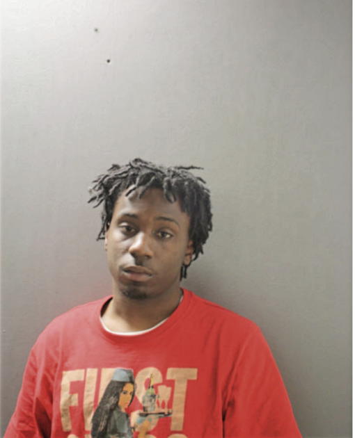 EMANUEL T NEWSOM, Cook County, Illinois