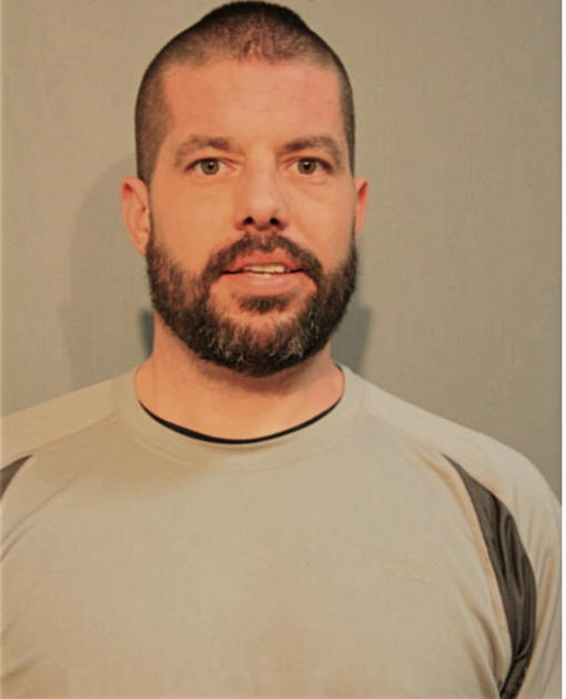 BRIAN A O'NEILL, Cook County, Illinois