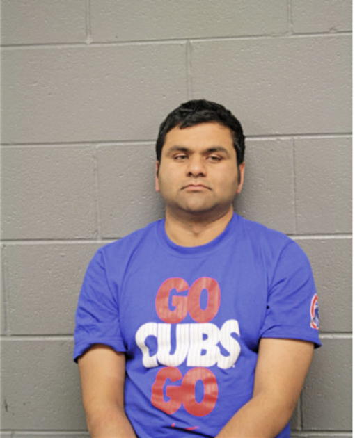 ROHIT KUMAR RAY, Cook County, Illinois