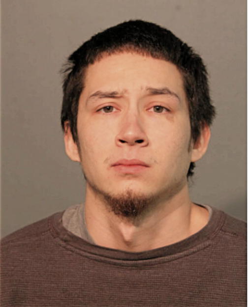 JESUS T SANCHEZ, Cook County, Illinois