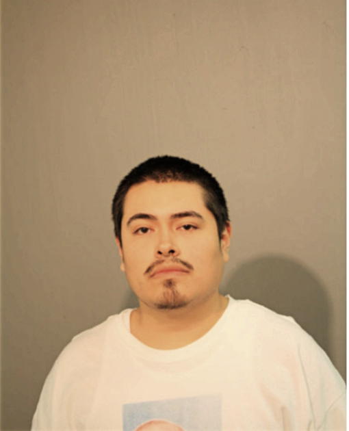 JUNIOR SANCHEZ, Cook County, Illinois