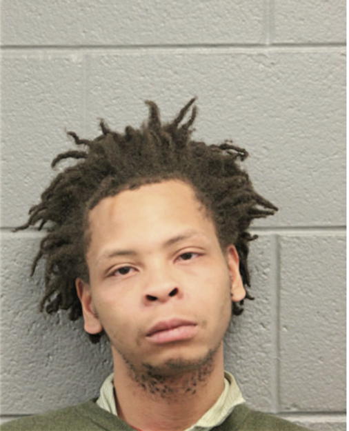 JAMES R SIMON, Cook County, Illinois