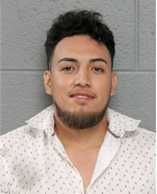 ERIK TORRES, Cook County, Illinois