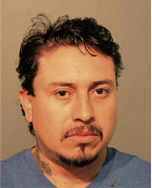 ABEL VILCHES-ALANIS, Cook County, Illinois