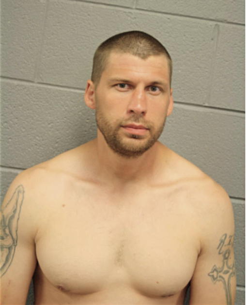 BRIAN J VIMMER, Cook County, Illinois