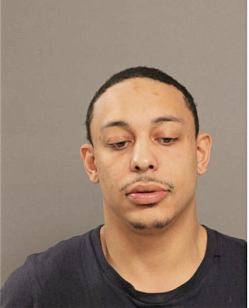 JONATHAN RM WILLIAMS, Cook County, Illinois