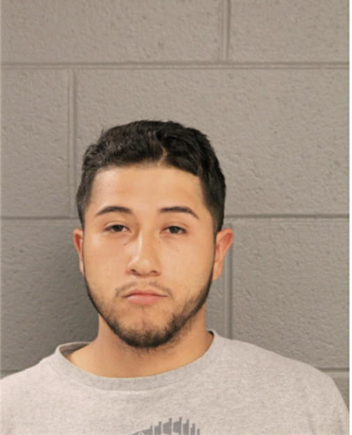 JUAN DIEGO ZERAFIN, Cook County, Illinois