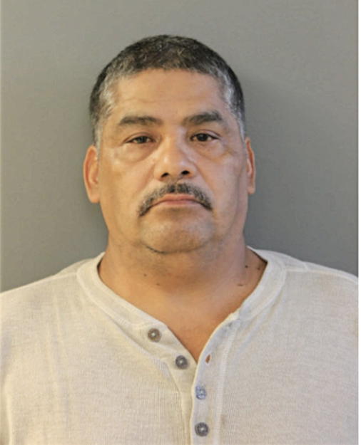 ALFONSO BAHENA, Cook County, Illinois