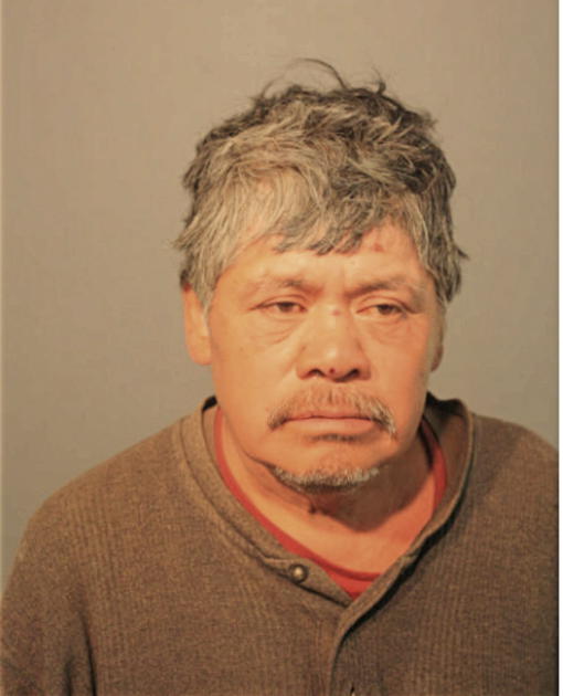 PEDRO BOLLAS, Cook County, Illinois