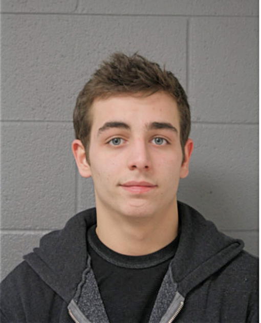 MATTHEW W BREW, Cook County, Illinois