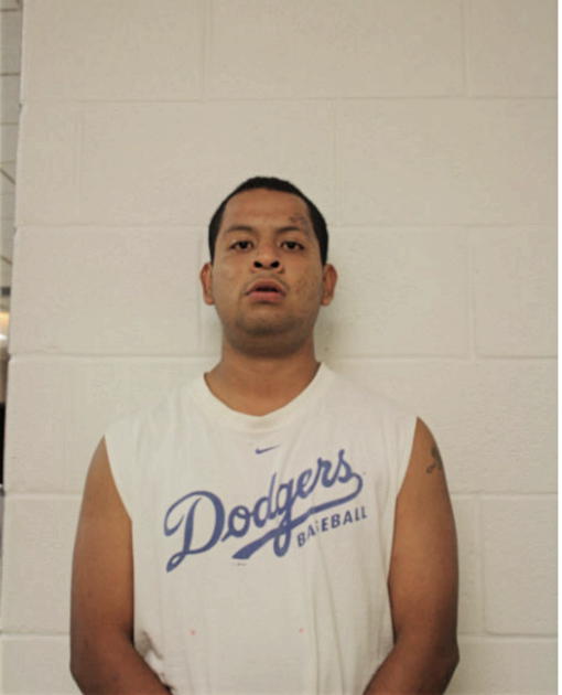 ANGEL G BRITO, Cook County, Illinois