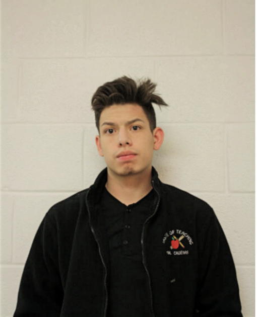 CRISTIAN I CARDENAS, Cook County, Illinois