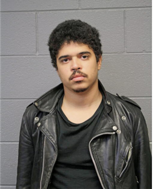 MICHAEL J CARRIG, Cook County, Illinois