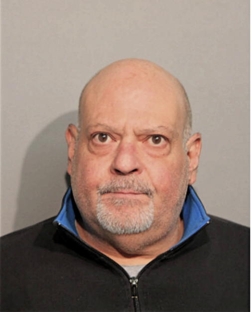 DAVID J CERONE, Cook County, Illinois