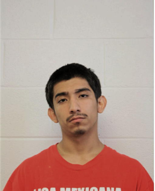 JULIO C FLORES, Cook County, Illinois