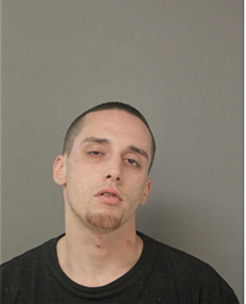 ANTHONY P FRANCESCHI, Cook County, Illinois