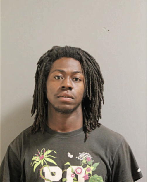 DESHAWN M GAYDEN, Cook County, Illinois