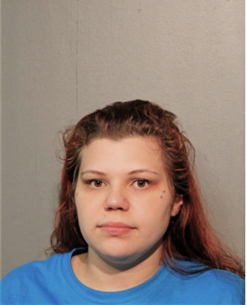 SAMANTHA J JANIK, Cook County, Illinois