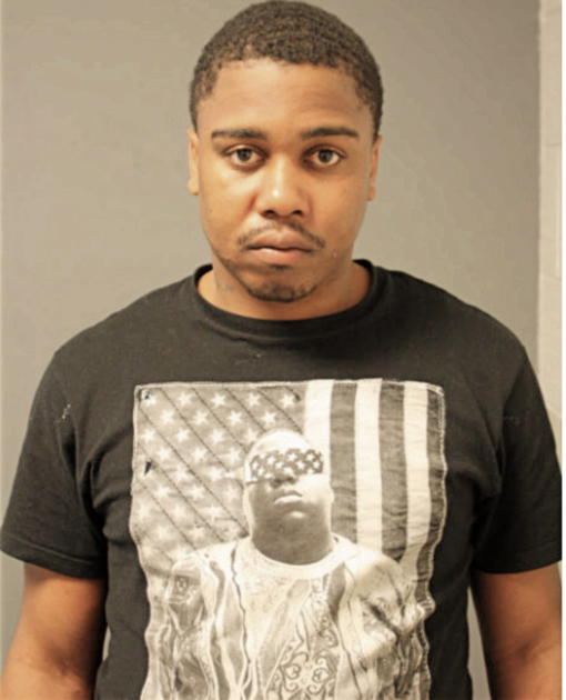 JOPAUL L JOHNSON, Cook County, Illinois