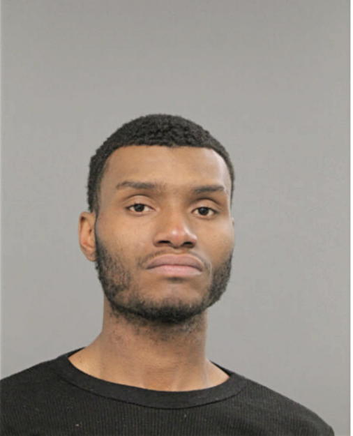 BRIAN D KING, Cook County, Illinois