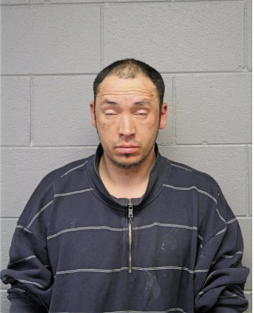 JESSE L LITTLE, Cook County, Illinois