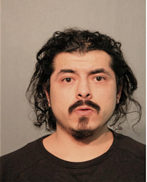 GEOVANNY R NAVA, Cook County, Illinois