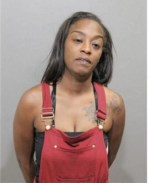 BRITTNEY H NELSON, Cook County, Illinois