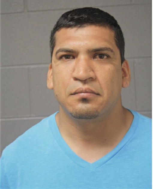 JOSE P PALAFOX, Cook County, Illinois