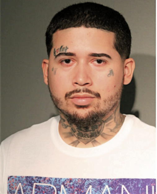 ANGEL L PEREA, Cook County, Illinois