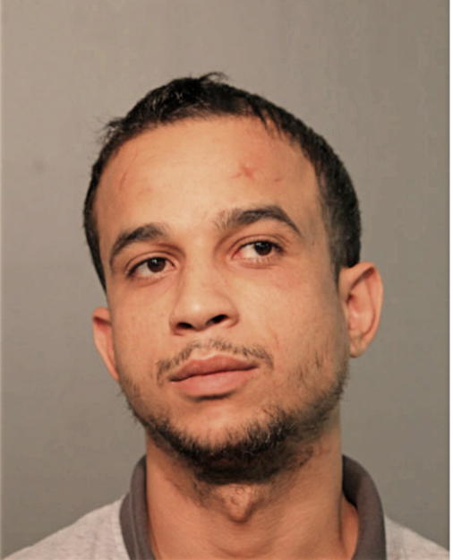 WALID RAHMOUNI, Cook County, Illinois