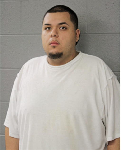 LUIS J RANGEL, Cook County, Illinois