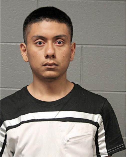 JOSE J REYES-GARCIA, Cook County, Illinois