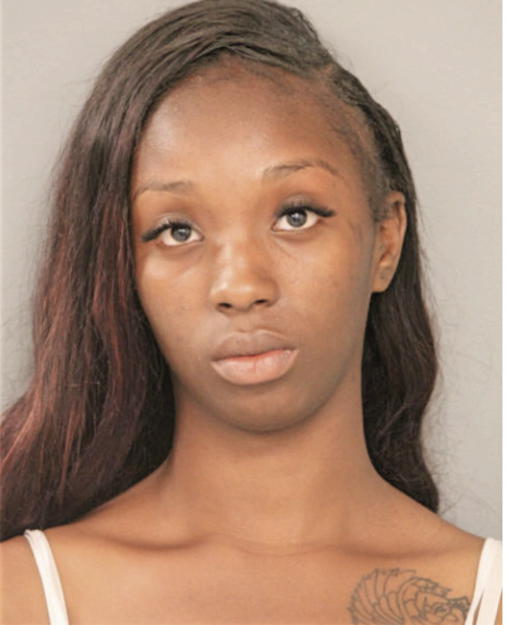 TIERRA D ROBY, Cook County, Illinois