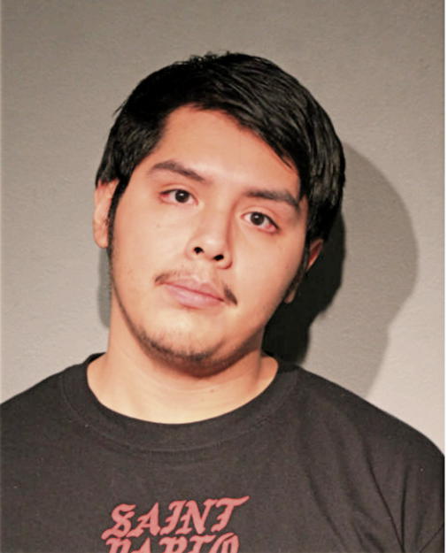 ERIK SALINAS, Cook County, Illinois