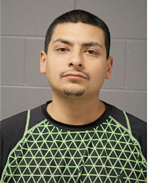 ALEXANDER F TOLEDO, Cook County, Illinois