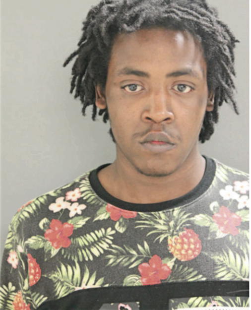 JOSHUA X WILLIAMS, Cook County, Illinois