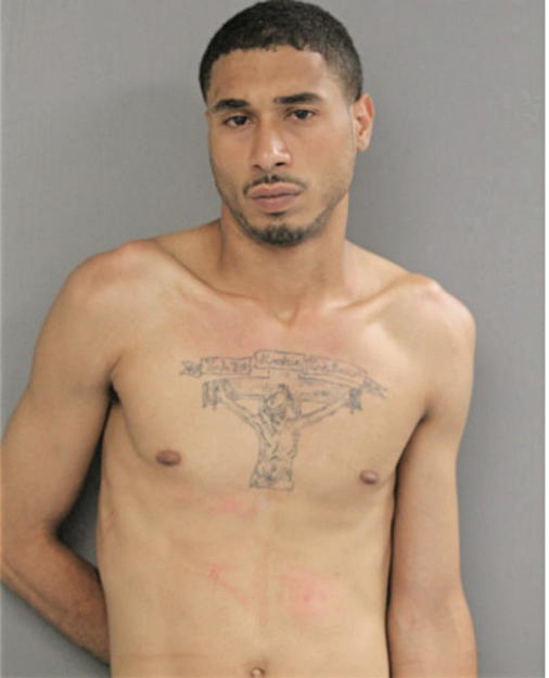 TYRONE S ANDERSON, Cook County, Illinois