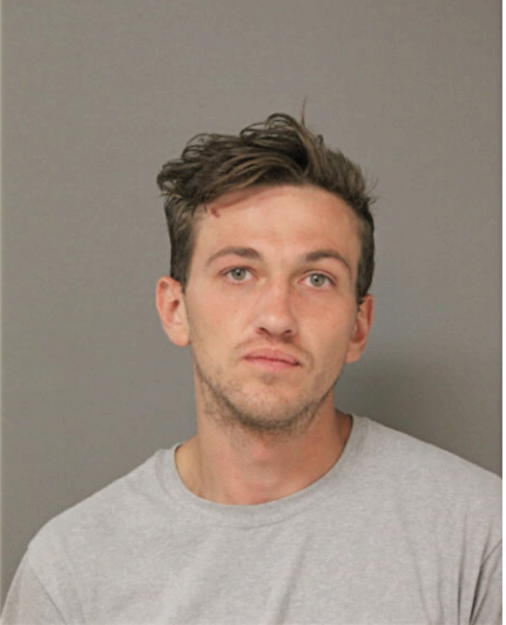 DAVID SCOTT BAVONE, Cook County, Illinois