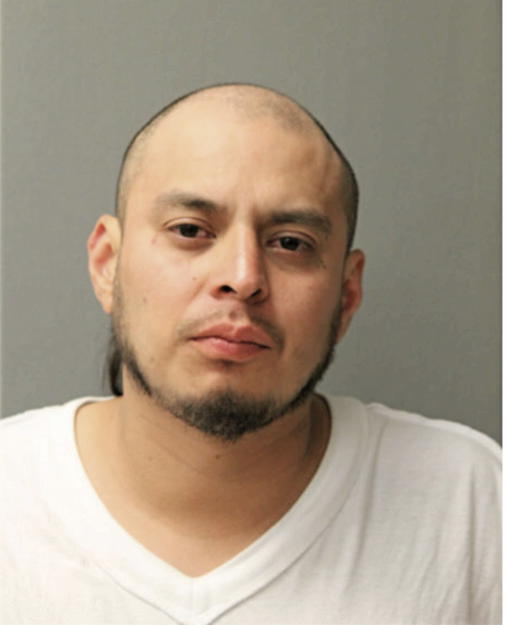 MIGUEL BOYAS, Cook County, Illinois