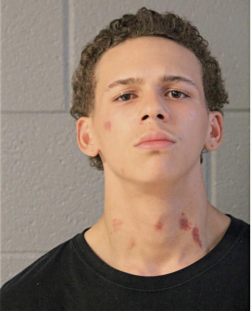TRENT T BROWN, Cook County, Illinois