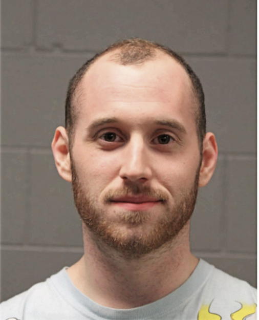 DAVID A BUSSER, Cook County, Illinois