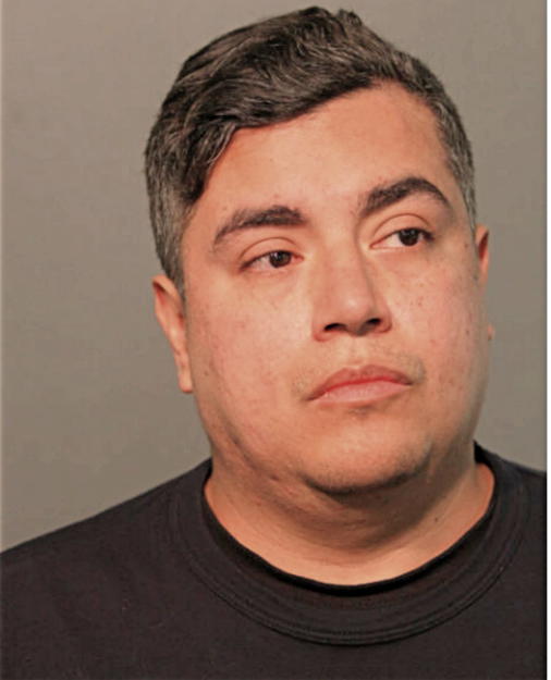 ALEJANDRO D FLORES, Cook County, Illinois