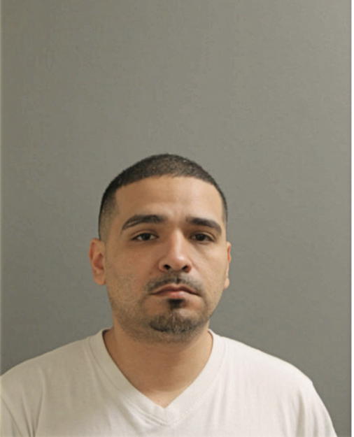 HECTOR GONZALEZ, Cook County, Illinois