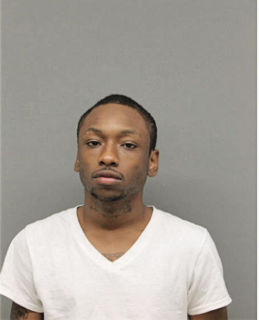 JAMES T JOHNSON, Cook County, Illinois