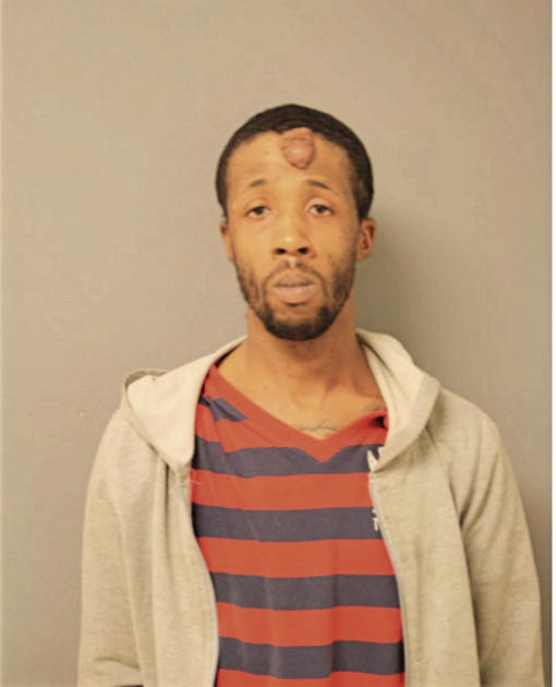 LIJUAN G JOHNSON, Cook County, Illinois