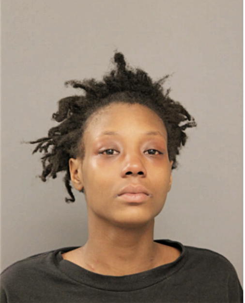 RENESHA R JOHNSON, Cook County, Illinois