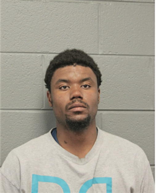 STEVEN D JOHNSON, Cook County, Illinois