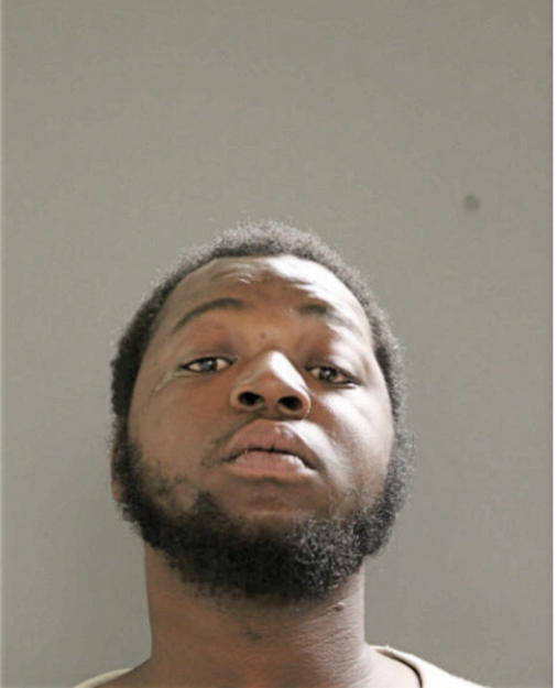DEMETRIUS D LANE, Cook County, Illinois